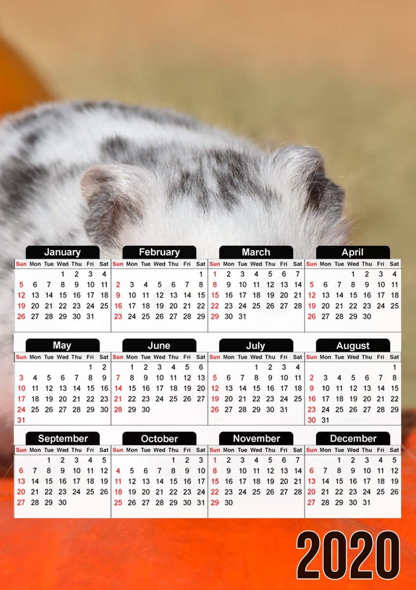 Weisser Dalmatiner Hamster mit schwarzen Punkten für A3 Fotokalender 30x43cm