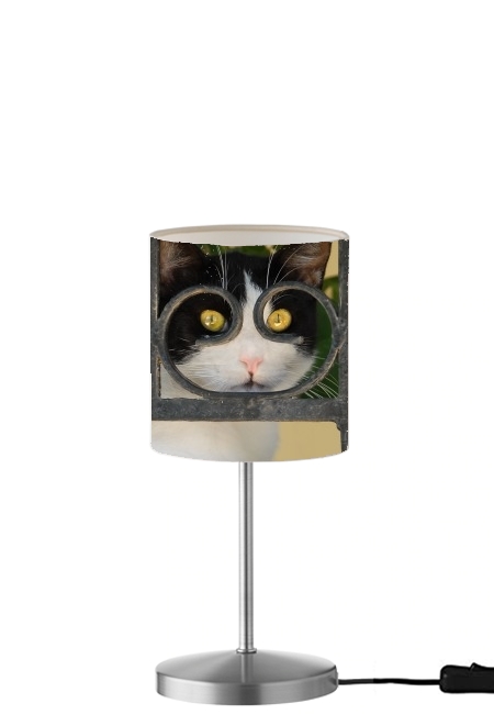 Katze mit Brille, sie schaut durch einen schmiedeeisernen Zaun  für Tisch- / Nachttischlampe