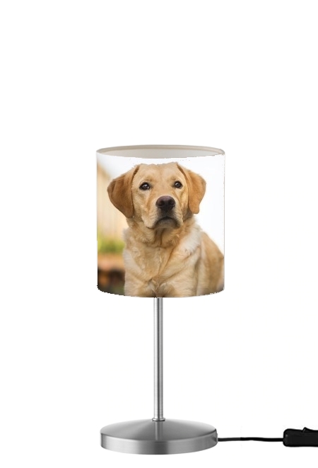 Labrador Dog für Tisch- / Nachttischlampe